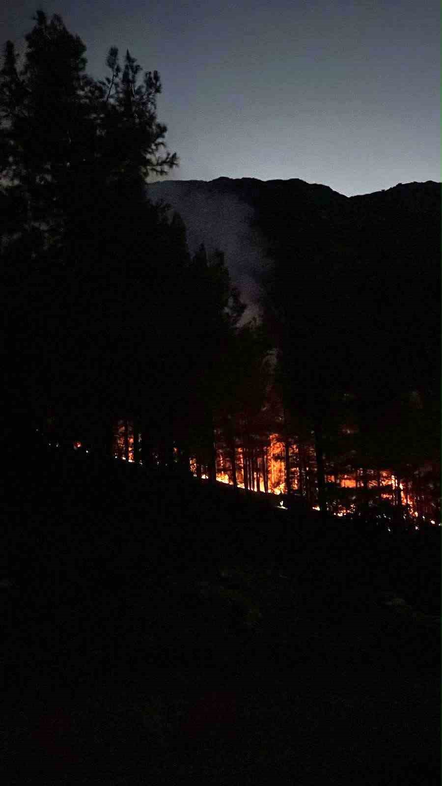 Alanya’da ormanlık alanda çıkan yangın kontrol altına alındı