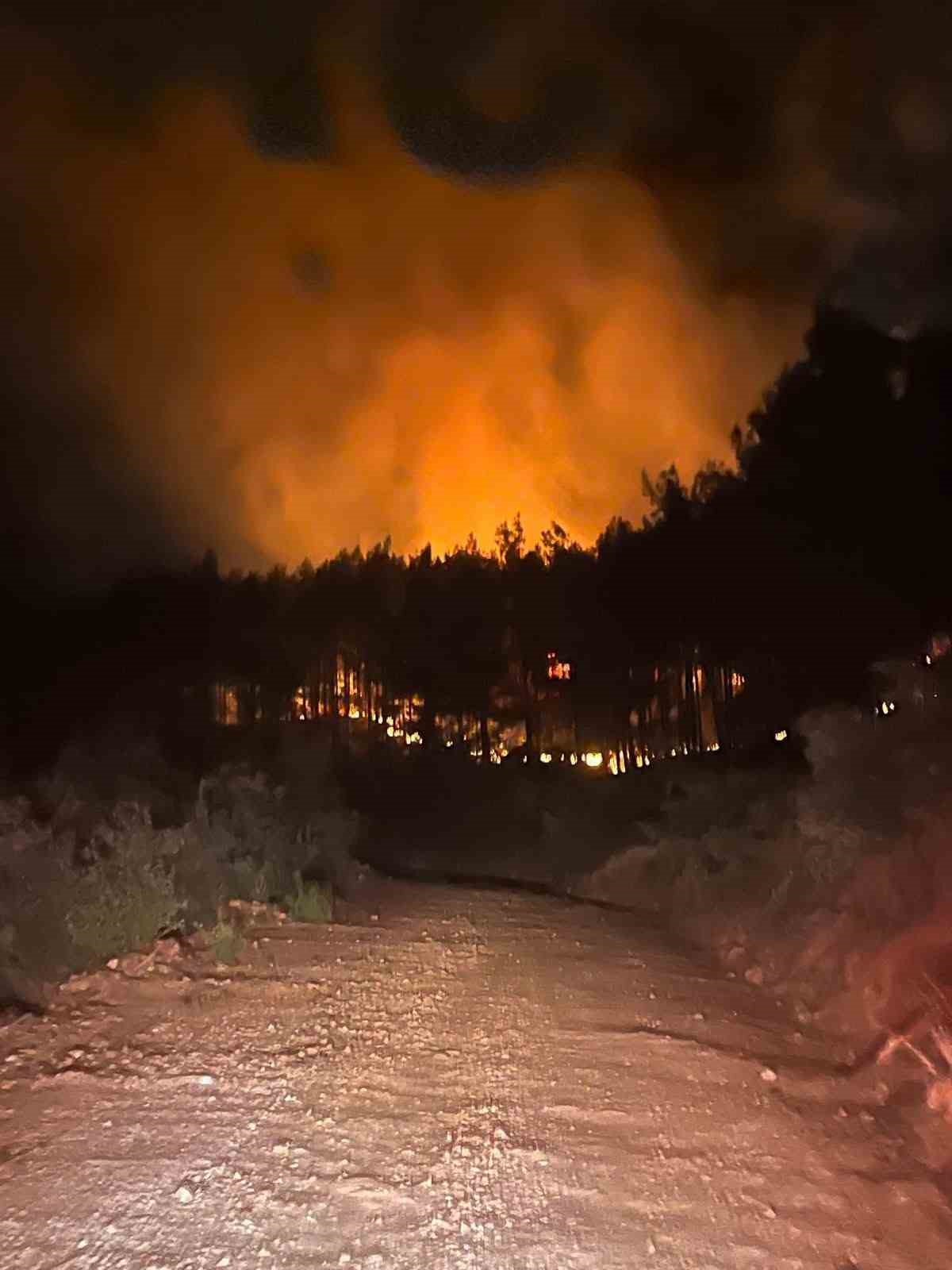 Alanya’da ormanlık alanda çıkan yangın kontrol altına alındı
