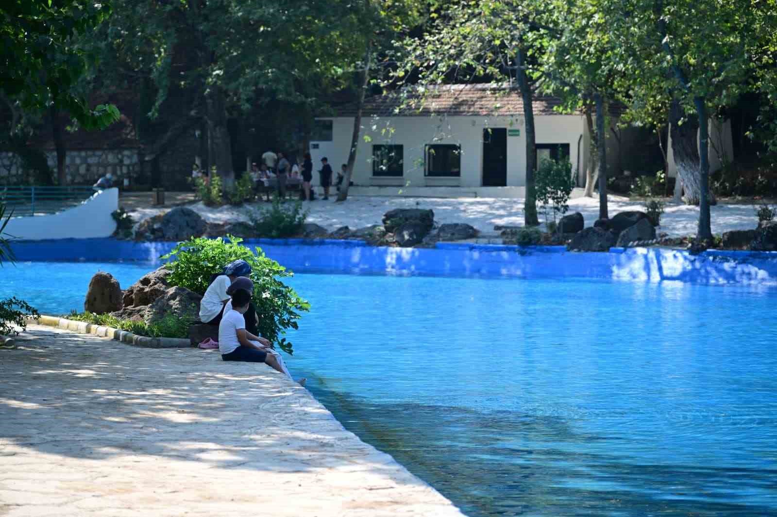 Manisalıların Akpınar Mesire Alanı özlemi sona erdi