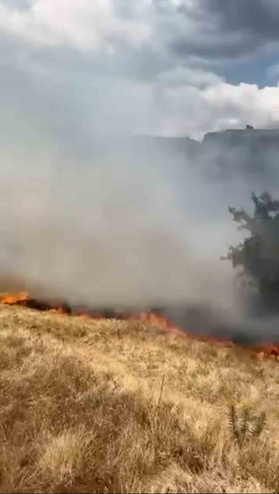 Ot yangını büyümeden söndürüldü