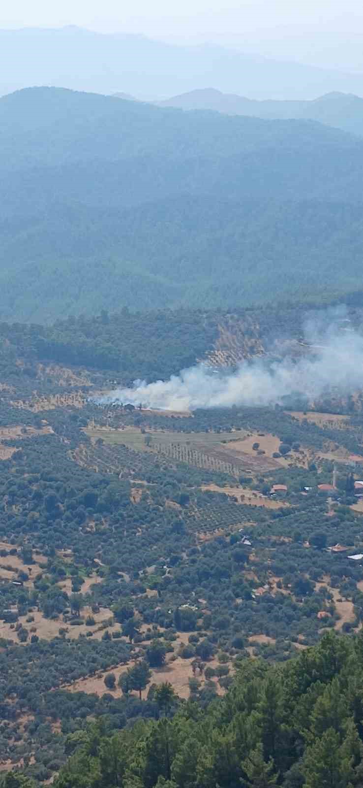 Dalaman’da orman yangını ekiplerin hızlı müdahalesi ile kontrol altına alındı