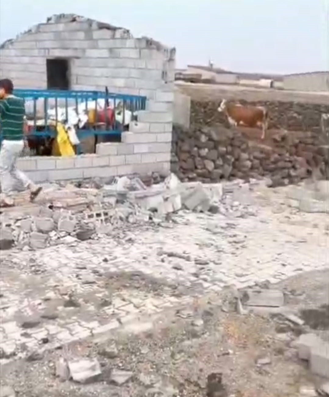 Diyarbakır’da şiddetli rüzgarda duvar yıkıldı, ahır çatısı çöktü
