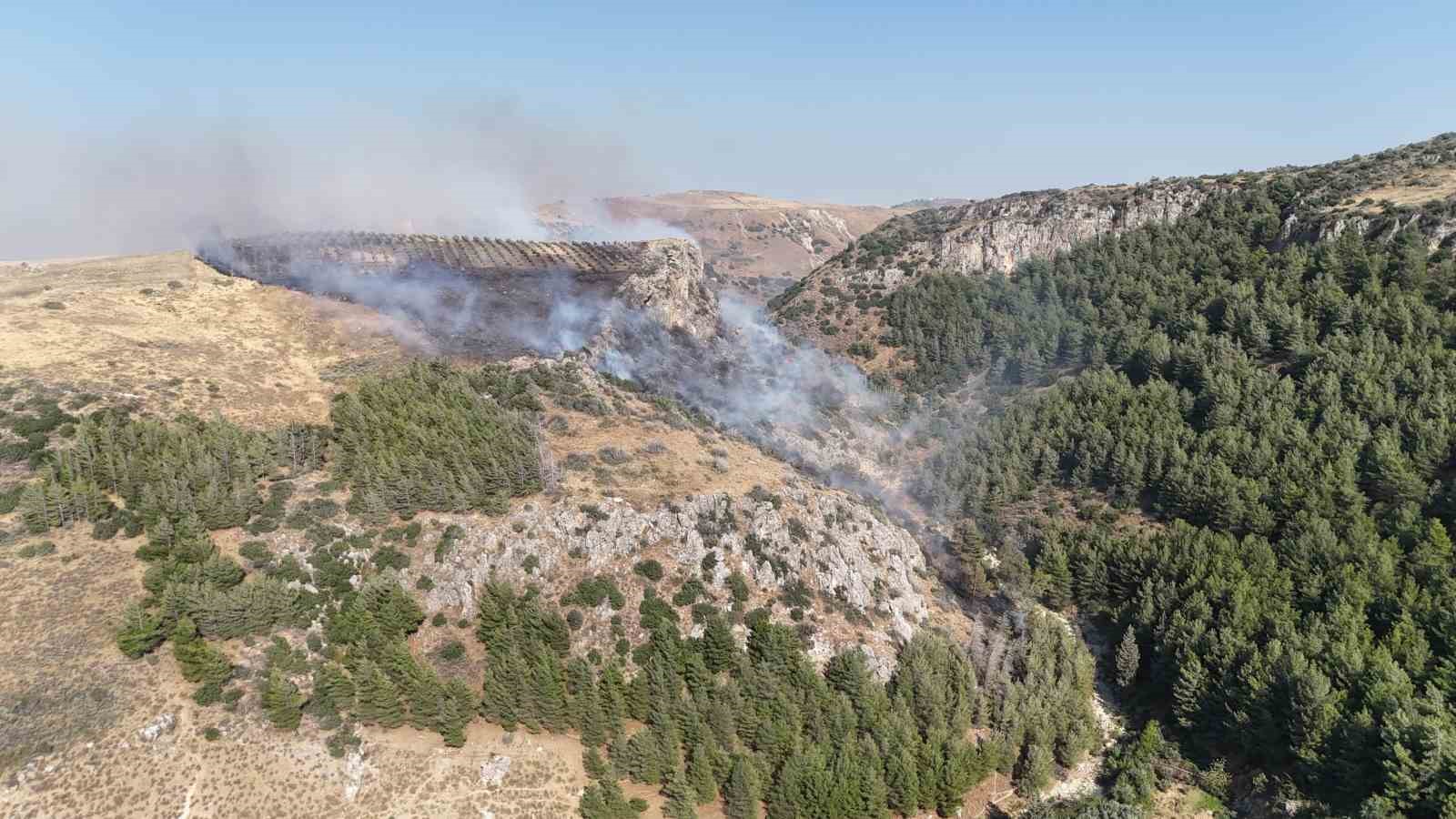 Hatay’da orman yangını çıktı