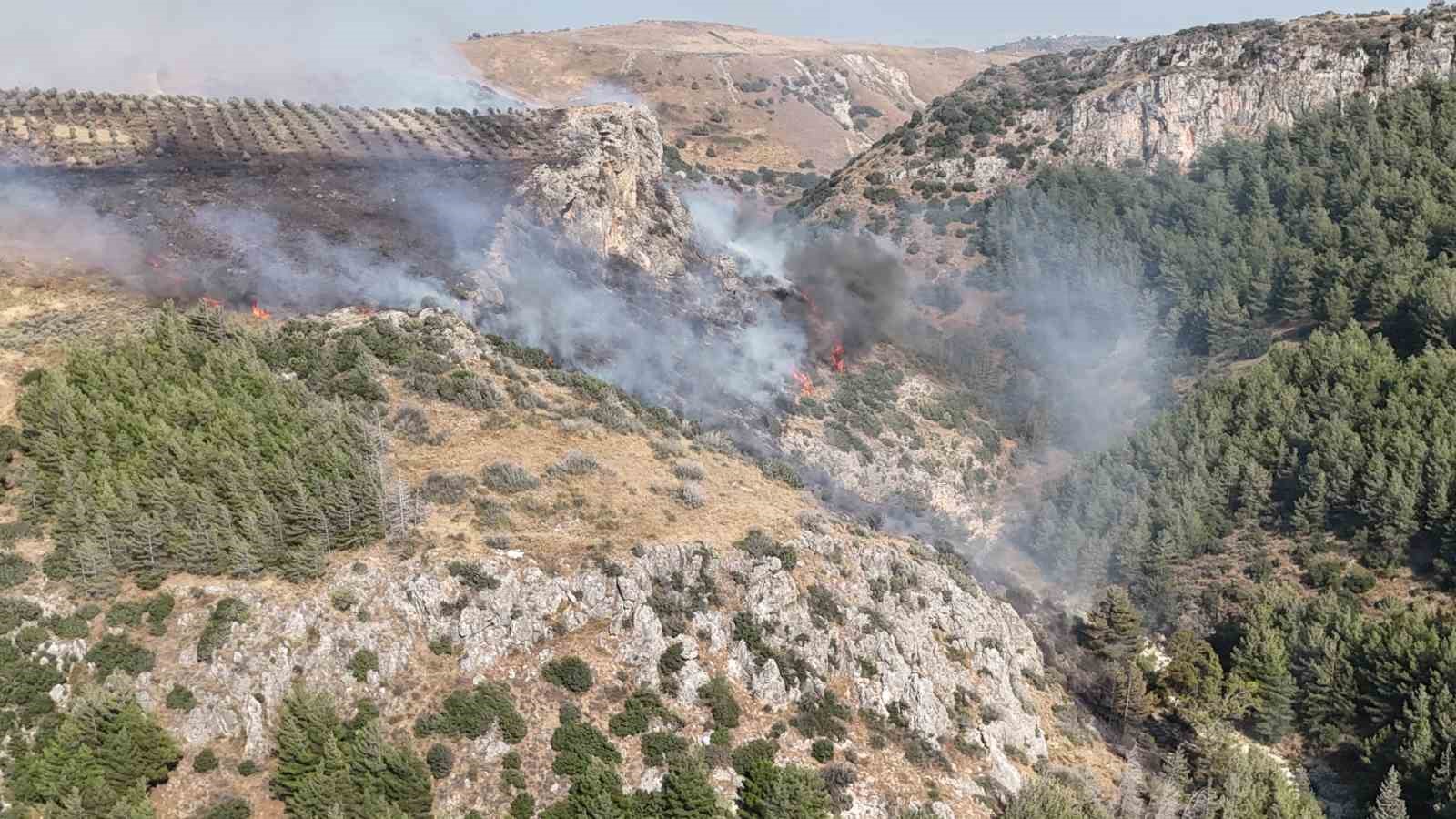 Hatay’da orman yangını çıktı