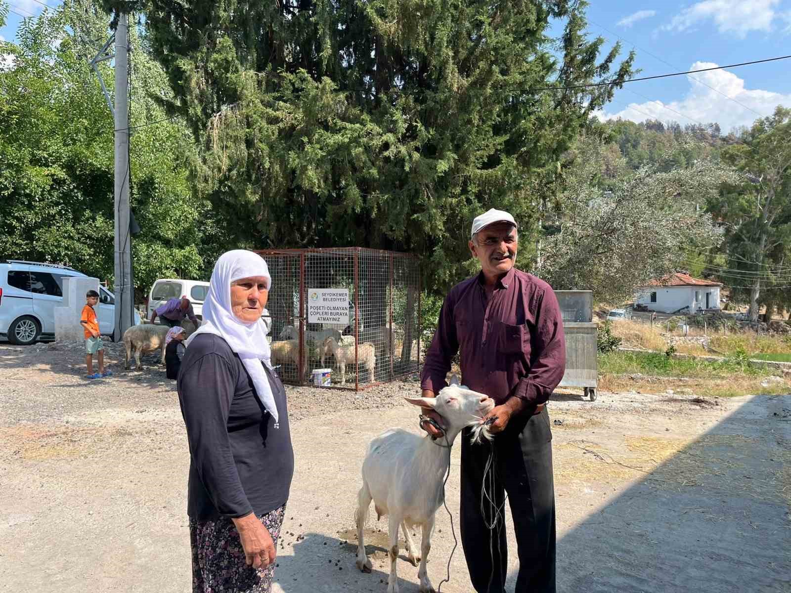 Seydikemer’de yangında hayvanlarını kaybeden çiftçilere küçükbaş hayvan desteği