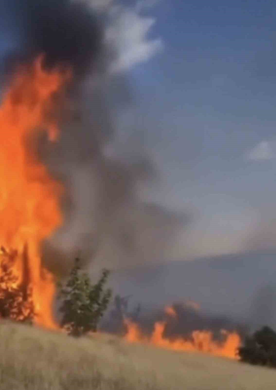 Çankırı’da örtü yangını ağaçlık alana sıçradı