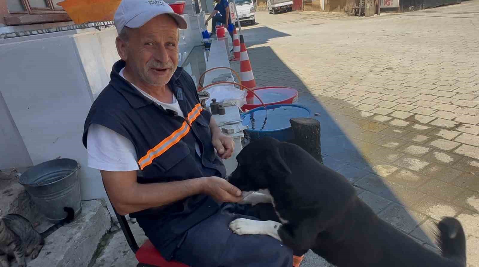 Sahibi ölen "Dayı"yı yalnız bırakmayan temizlik görevlisinin kalp ısıtan hikayesi