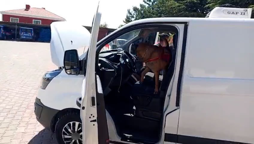 Narkotik köpeği ’Zırh’ uyuşturucu sevkiyatını engelledi