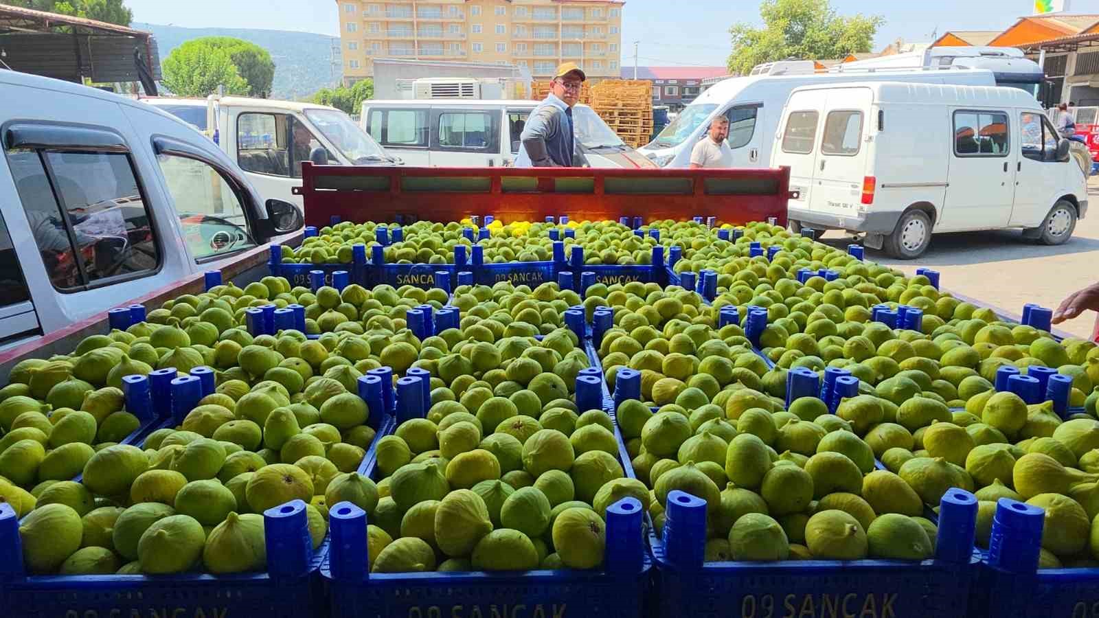 Buharkent’in taze incirlerinin sofralara yolculuğu başladı
