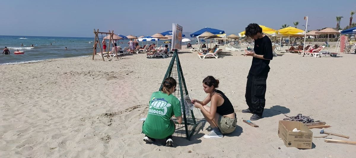 Caretta caretta’nın yuvası suyla doldu, 68 yumurta tek tek taşındı
