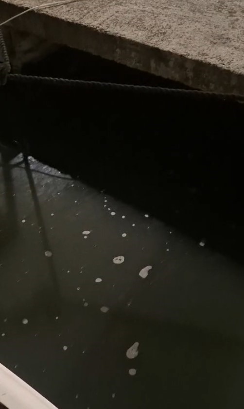 Yeşilköy’de balıkçı barınağından denize atık su deşarjının görüntüleri ortaya çıktı