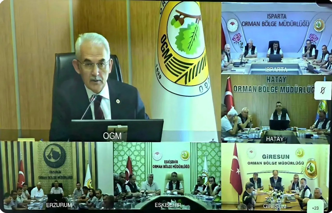 Sinop’ta sürdürülebilir ormancılık çalışmaları
