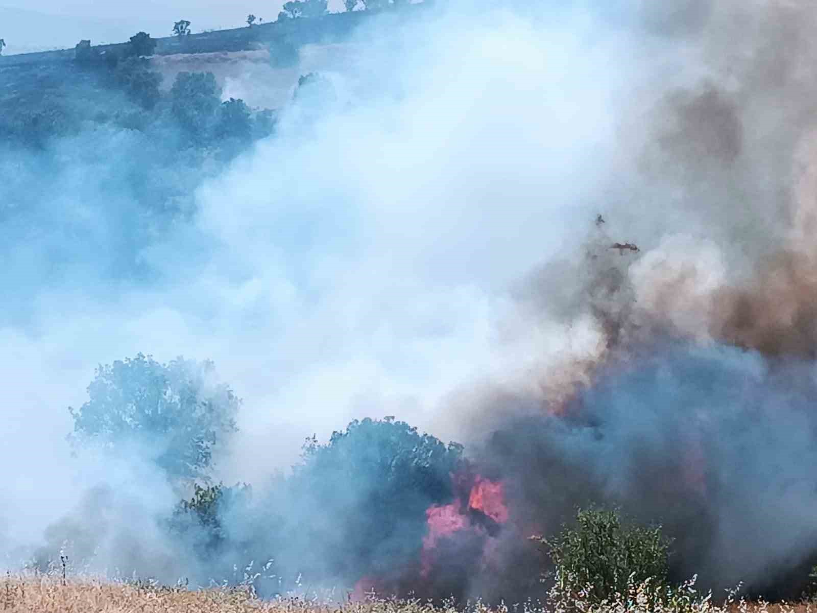 Pütürge’de orman ve örtü yangınına havadan müdahale