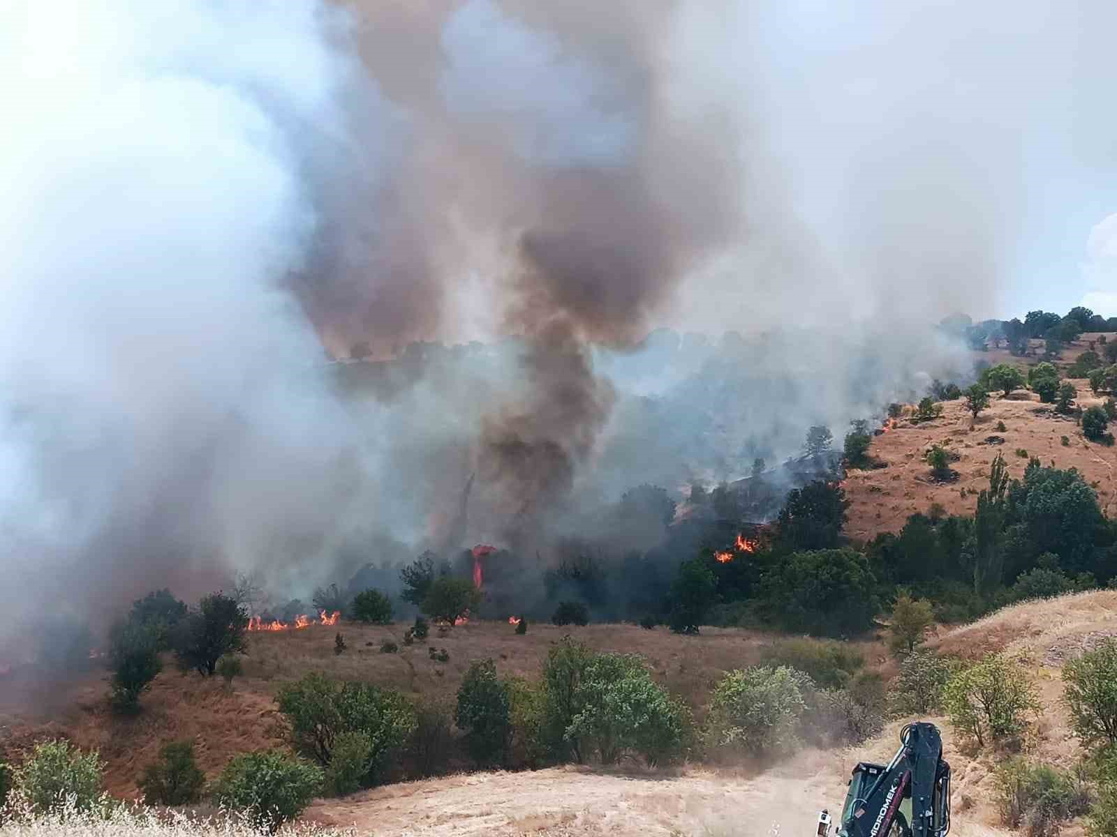 Pütürge’de orman ve örtü yangınına havadan müdahale