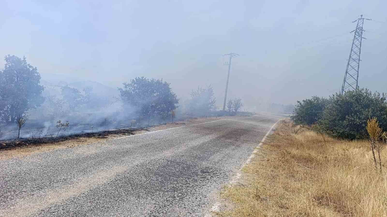 Gördes’te tarım arazisinden ormana sıçrayan yangın kontrol altında