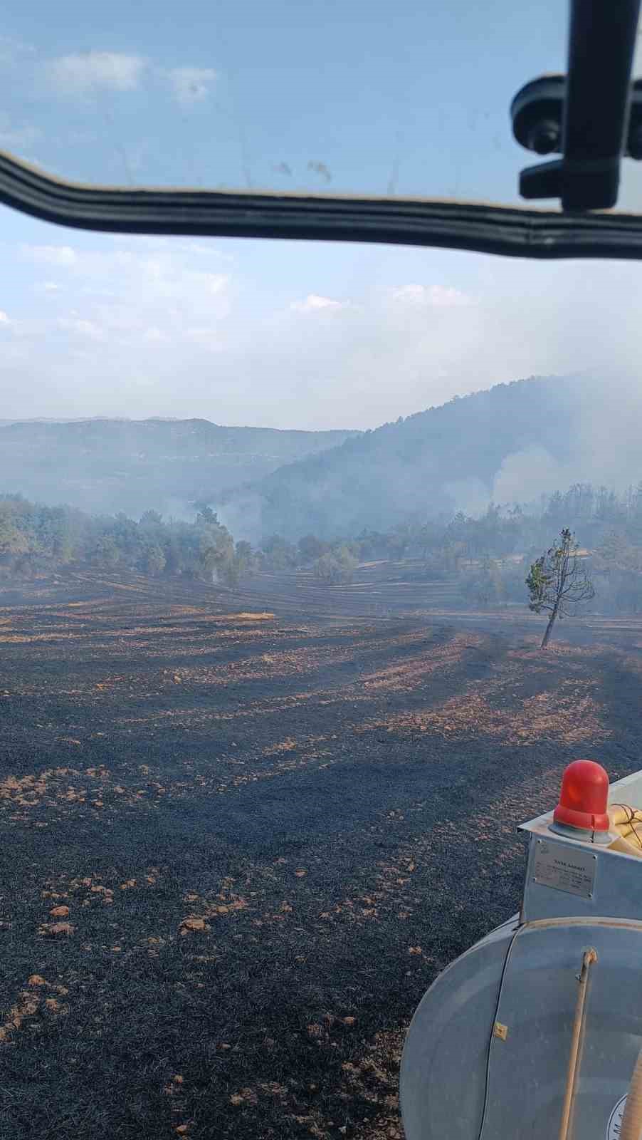 Bolu’da orman yangını
