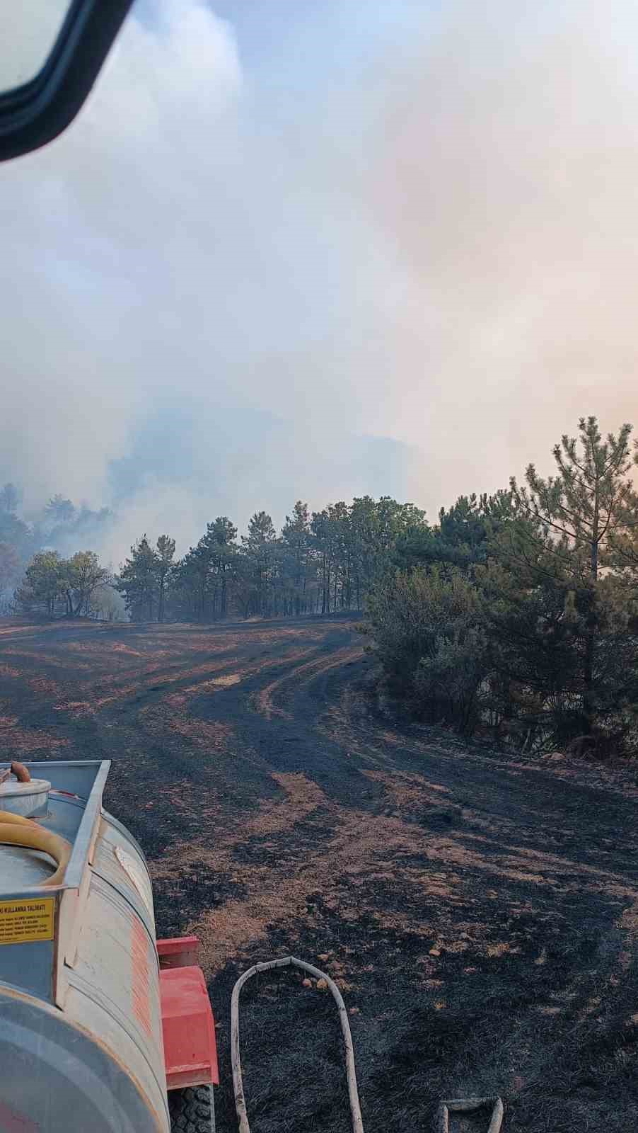 Bolu’da orman yangını