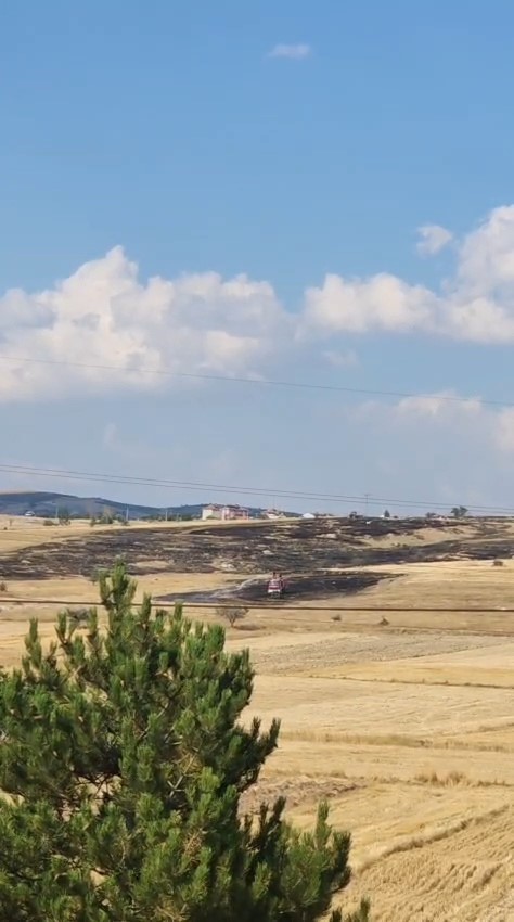 Kütahya’da otluk alanda çıkan yangın bekçi kulübesine sıçradı