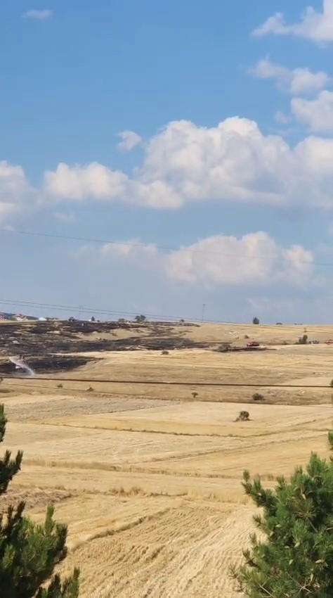 Kütahya’da otluk alanda çıkan yangın bekçi kulübesine sıçradı