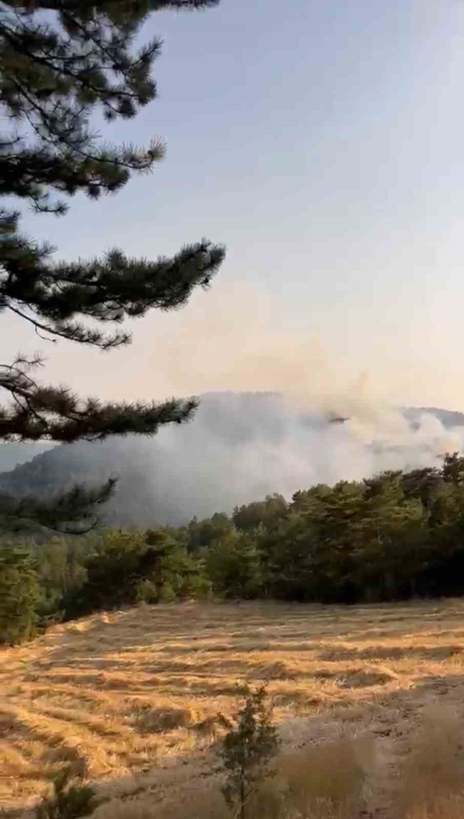 Bolu’daki orman yangını kontrol altına alındı