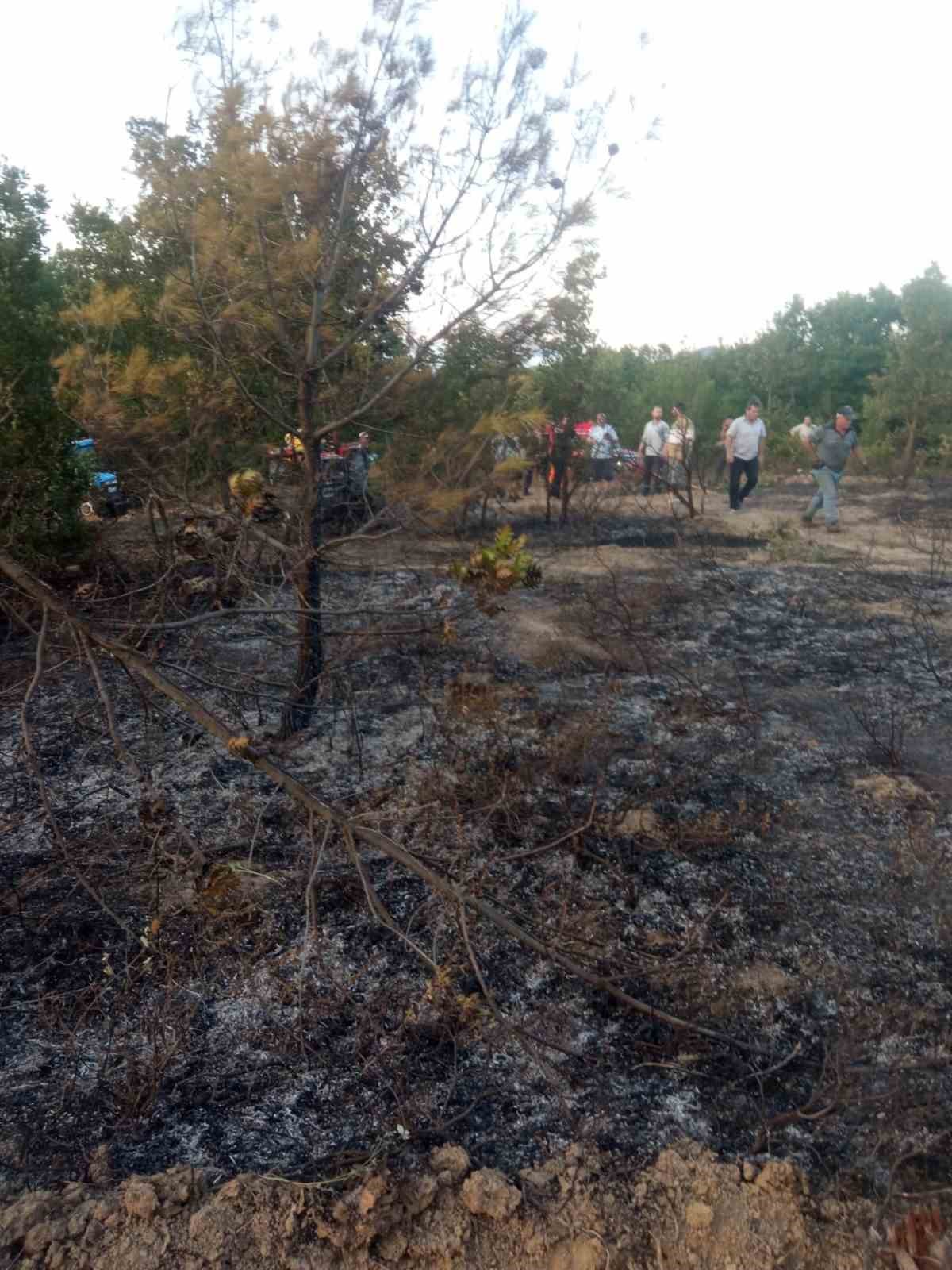 Kocaeli’de yangın paniği: 30 dönüm yandı, ekipler ve köylüler seferber oldu
