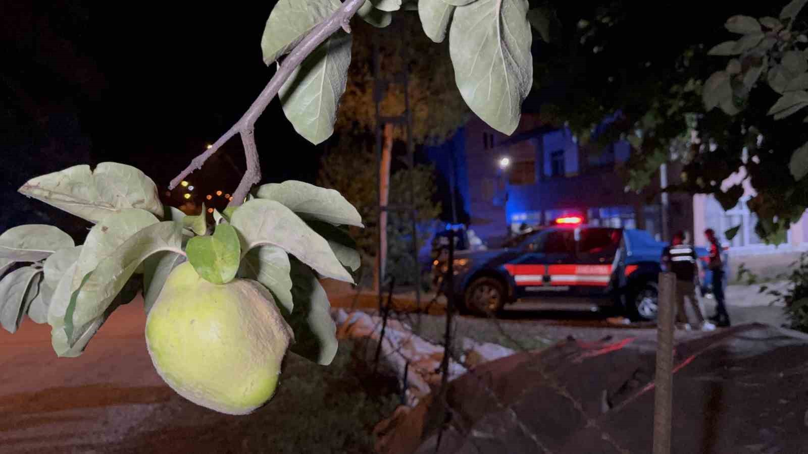 Ağacın dalını kestiği için amcasını öldürdü