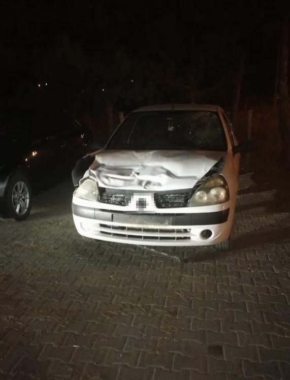 Otomobilin çarptığı eşek yaralandı