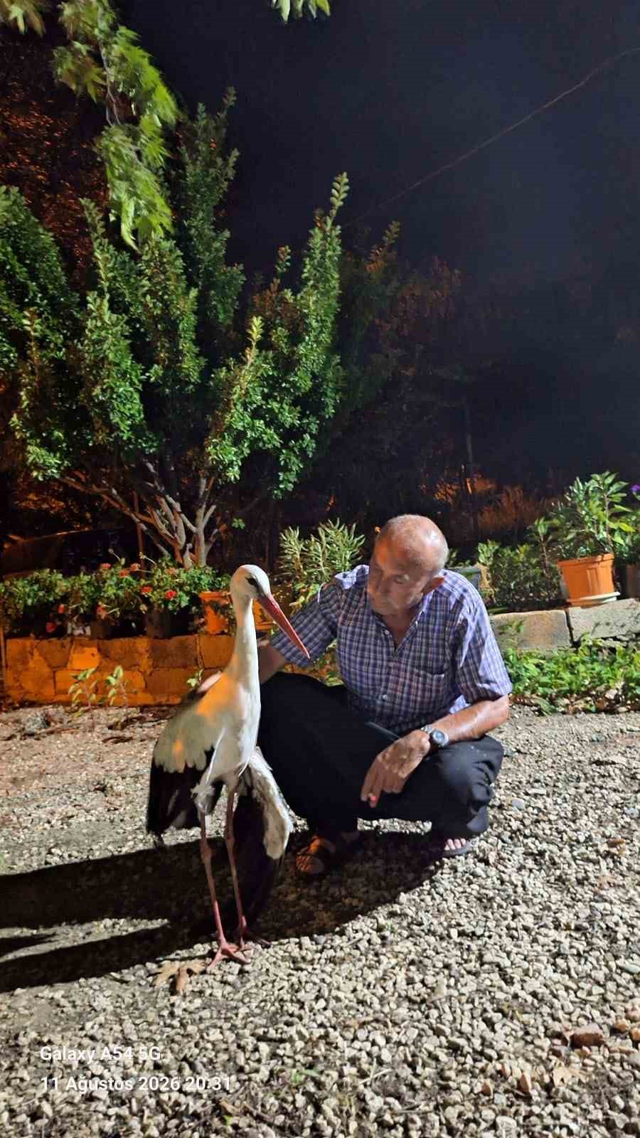 Evinin önüne gelen yaralı leyleğe sahip çıktı