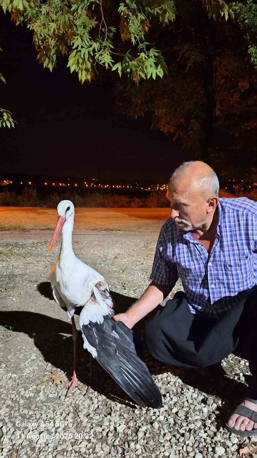 Evinin önüne gelen yaralı leyleğe sahip çıktı