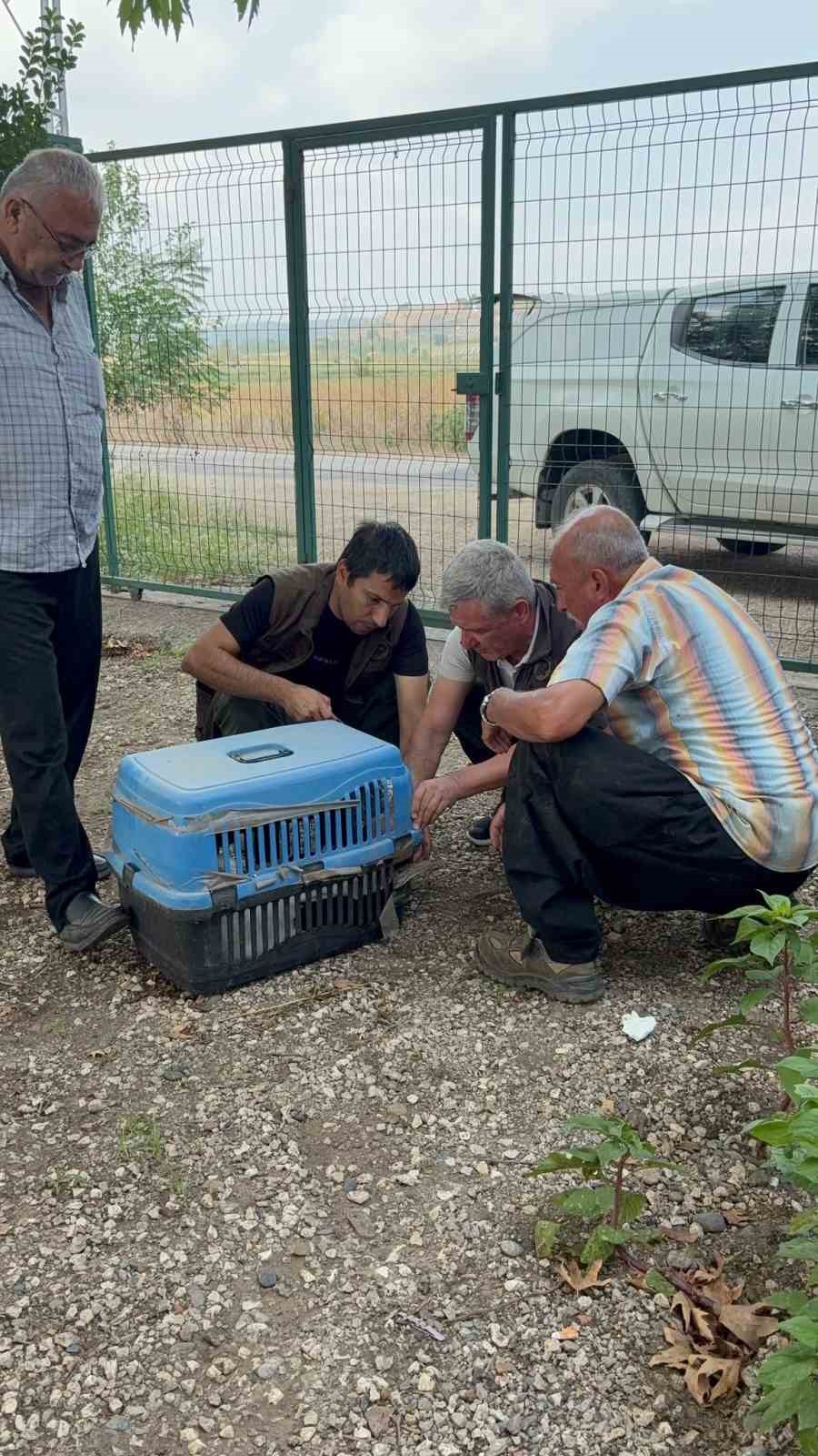 Evinin önüne gelen yaralı leyleğe sahip çıktı