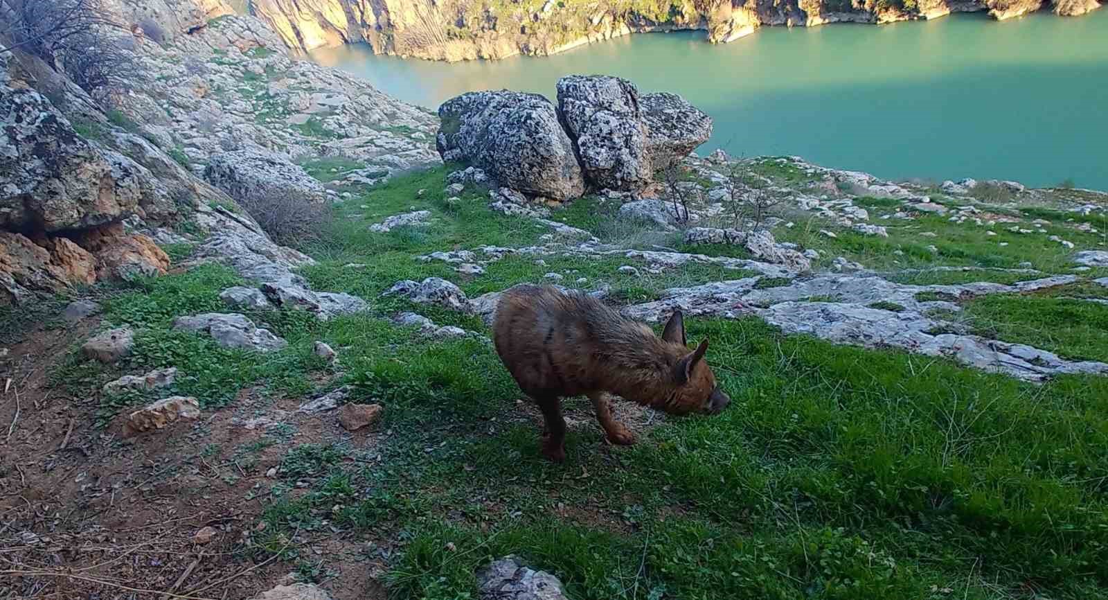Doğal yaşamı bozanlara 5 Milyon TL’ye kadar ceza