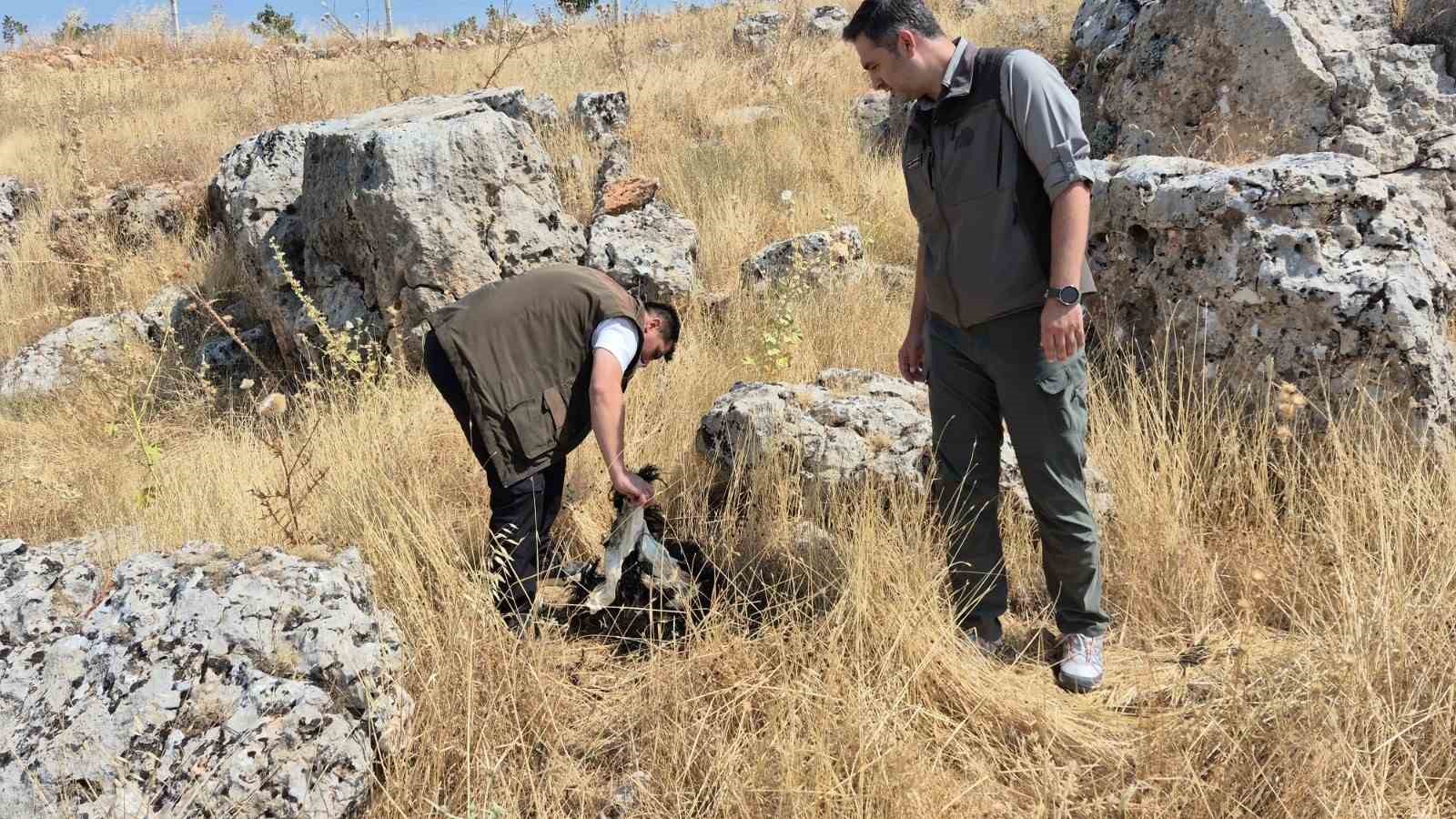 Doğal yaşamı bozanlara 5 Milyon TL’ye kadar ceza
