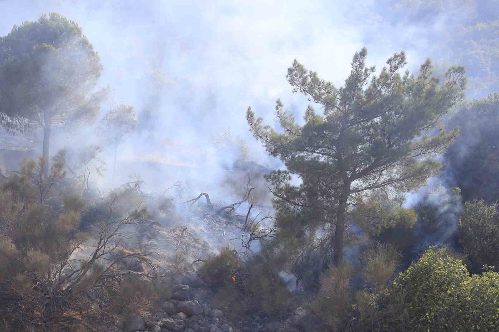 Antalya’da iki ilçede çıkan orman yangınları kontrol altına alındı