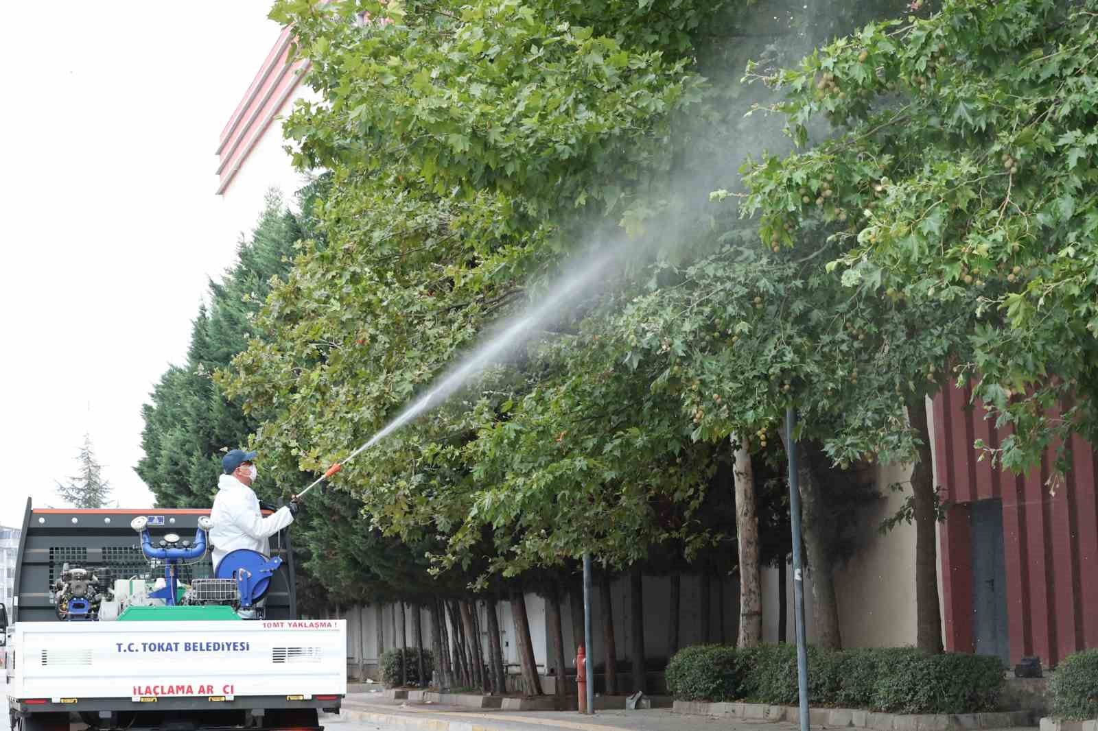 Tokat’ta sivrisinek ve haşerelere karşı kapsamlı ilaçlama seferberliği