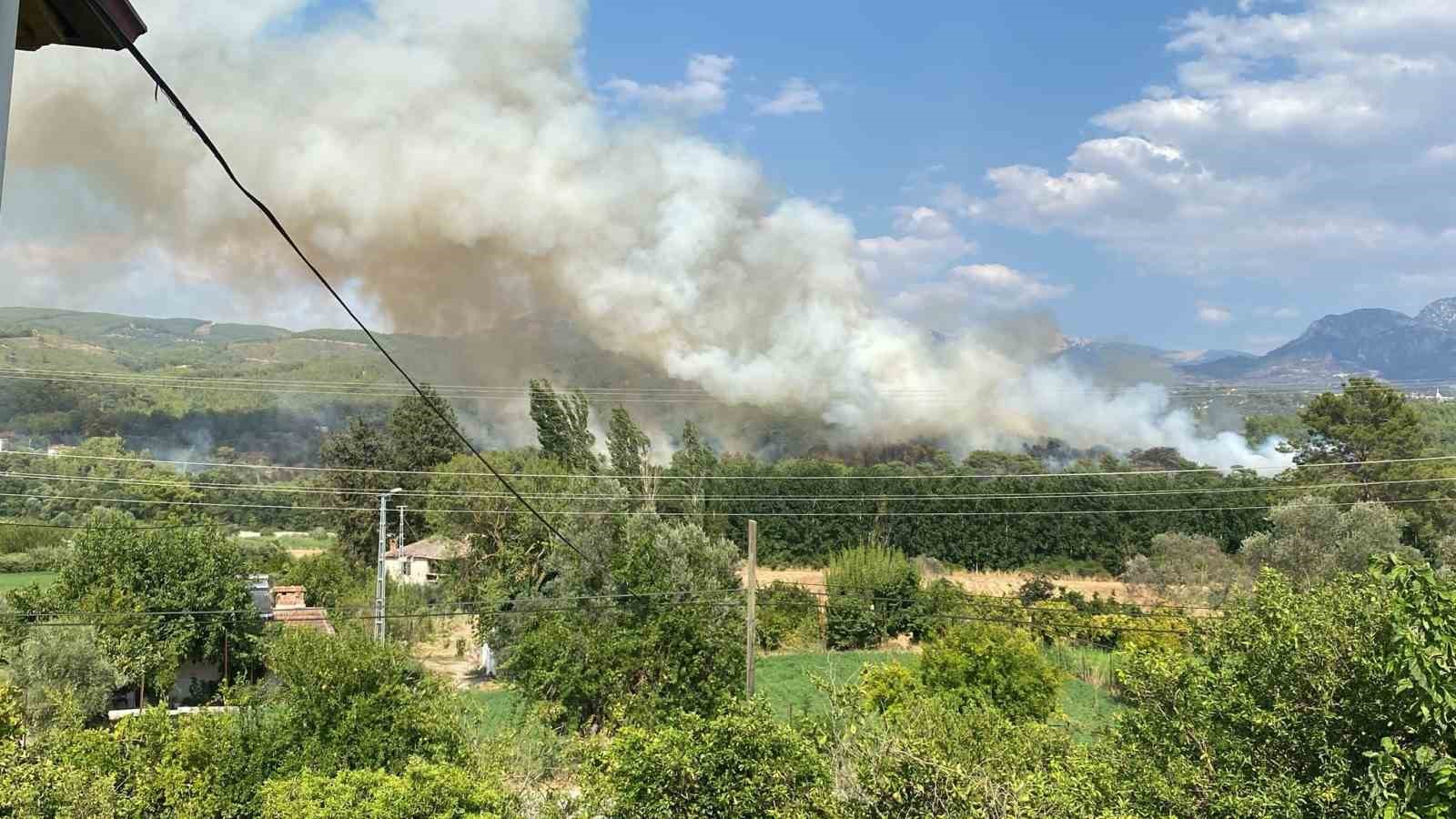 Seydikemer’de orman yangını