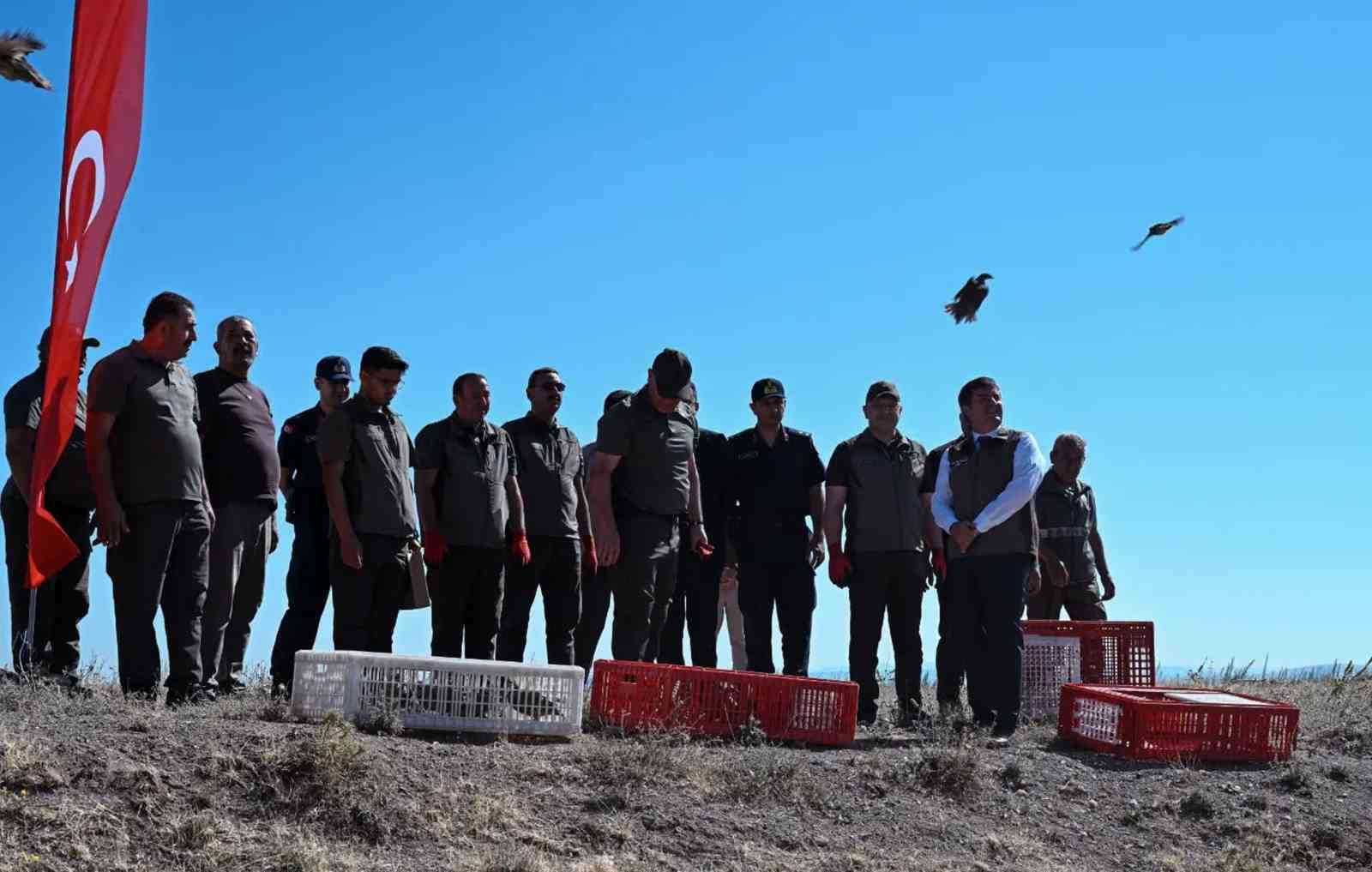 Kene popülasyonuna karşı doğal hamle: Avcı keklikler doğaya salındı