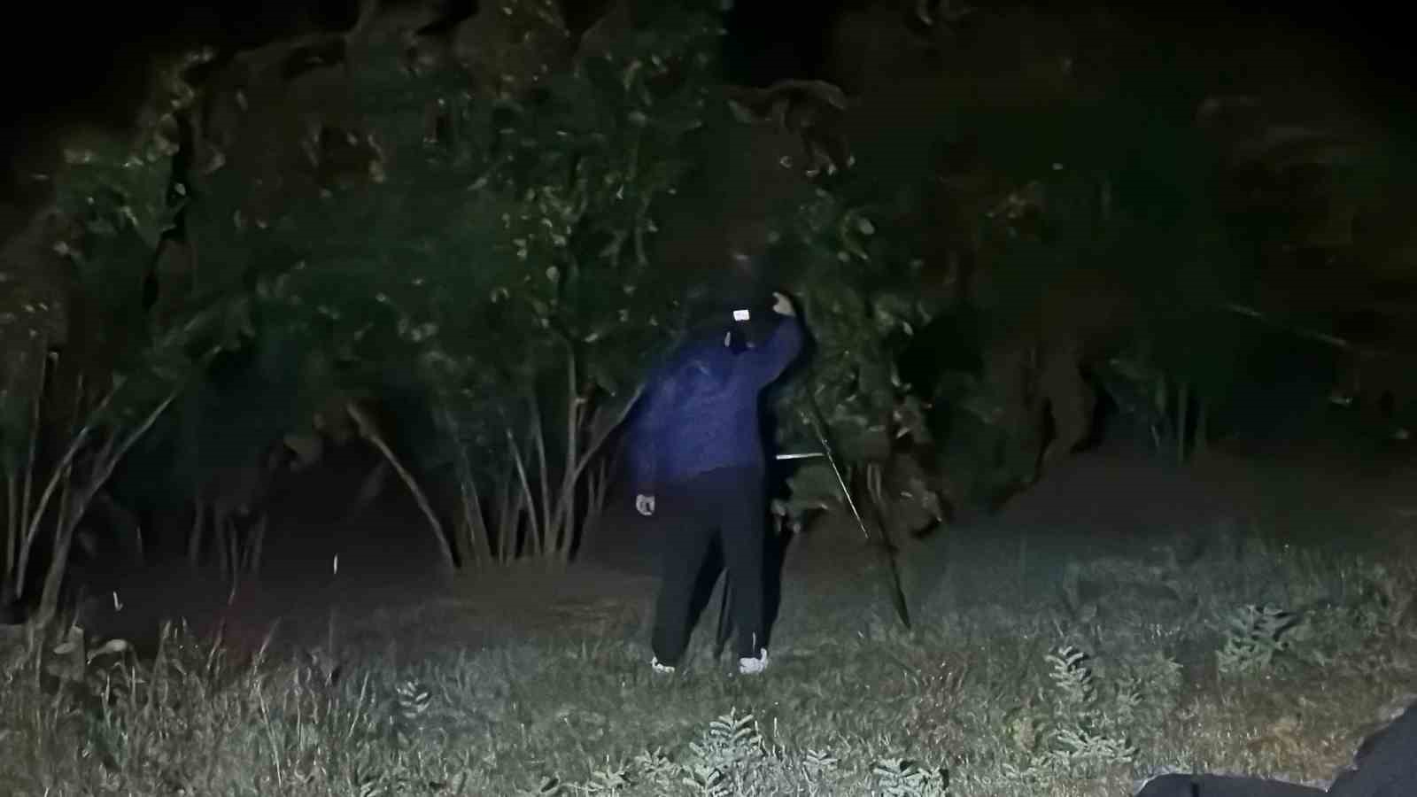 Düzce’de Perseid meteor yağmuru ilgi ile izlendi
