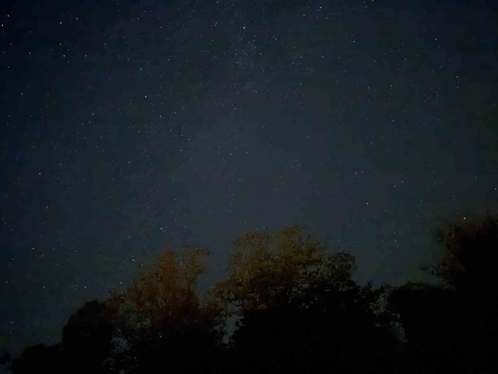 Düzce’de Perseid meteor yağmuru ilgi ile izlendi