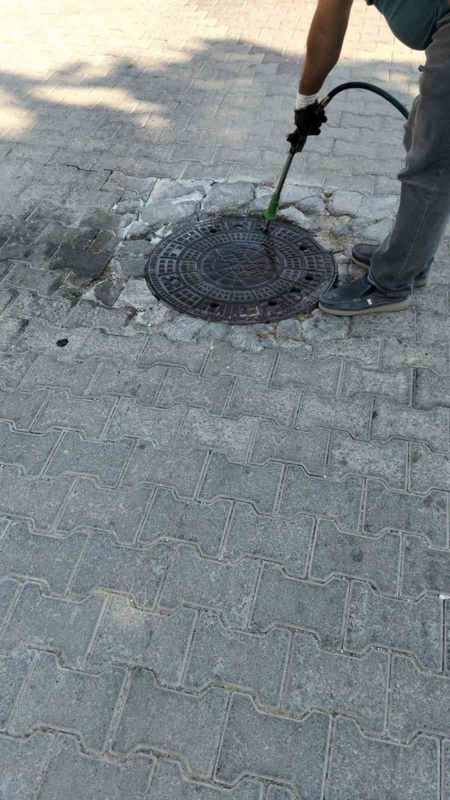 Didim Belediyesi’nden sinek ve haşerelere karşı kapsamlı mücadele
