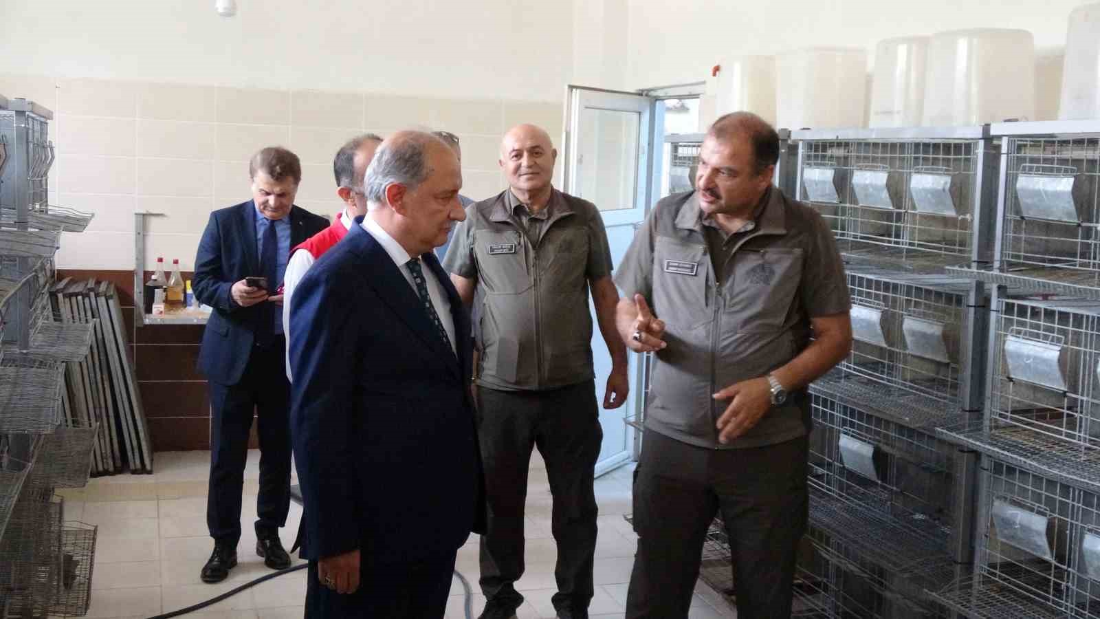 Bakan Yardımcısı Polat, 10 bin keklik kapasiteli tesisi inceledi