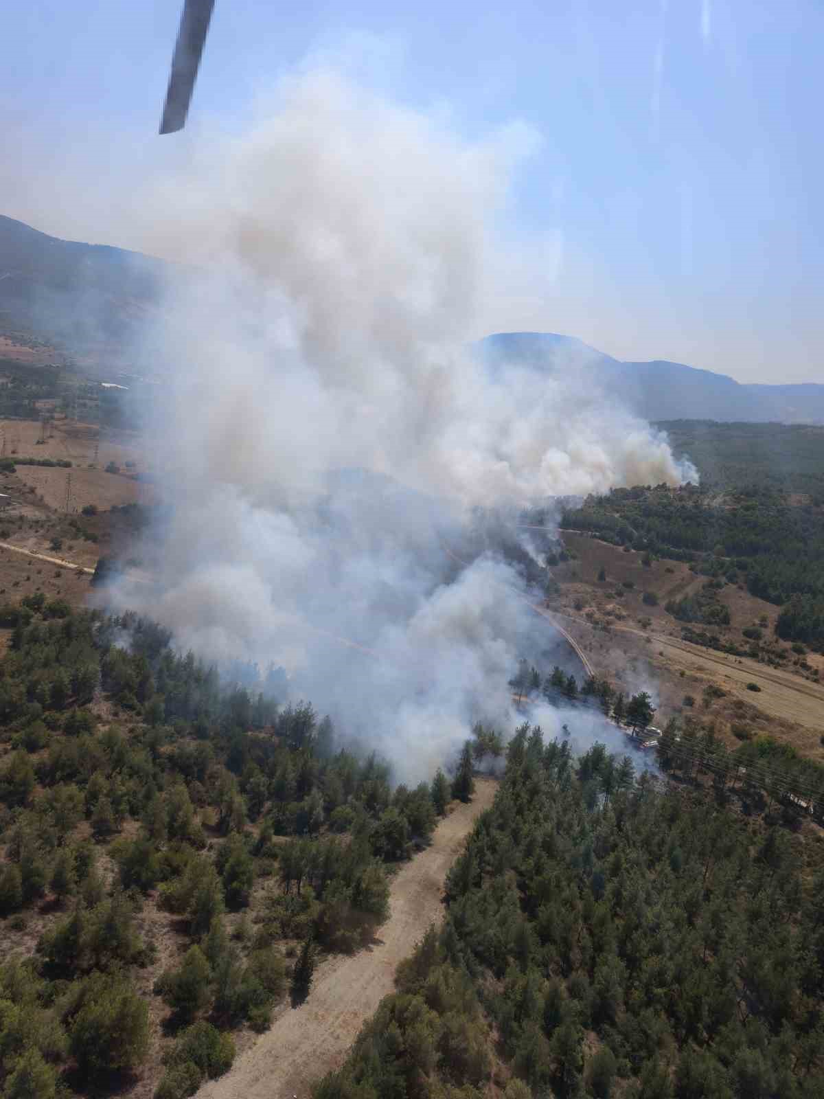 Bilecik’te başlayan orman yangınına karadan ve havadan müdahale ediliyor