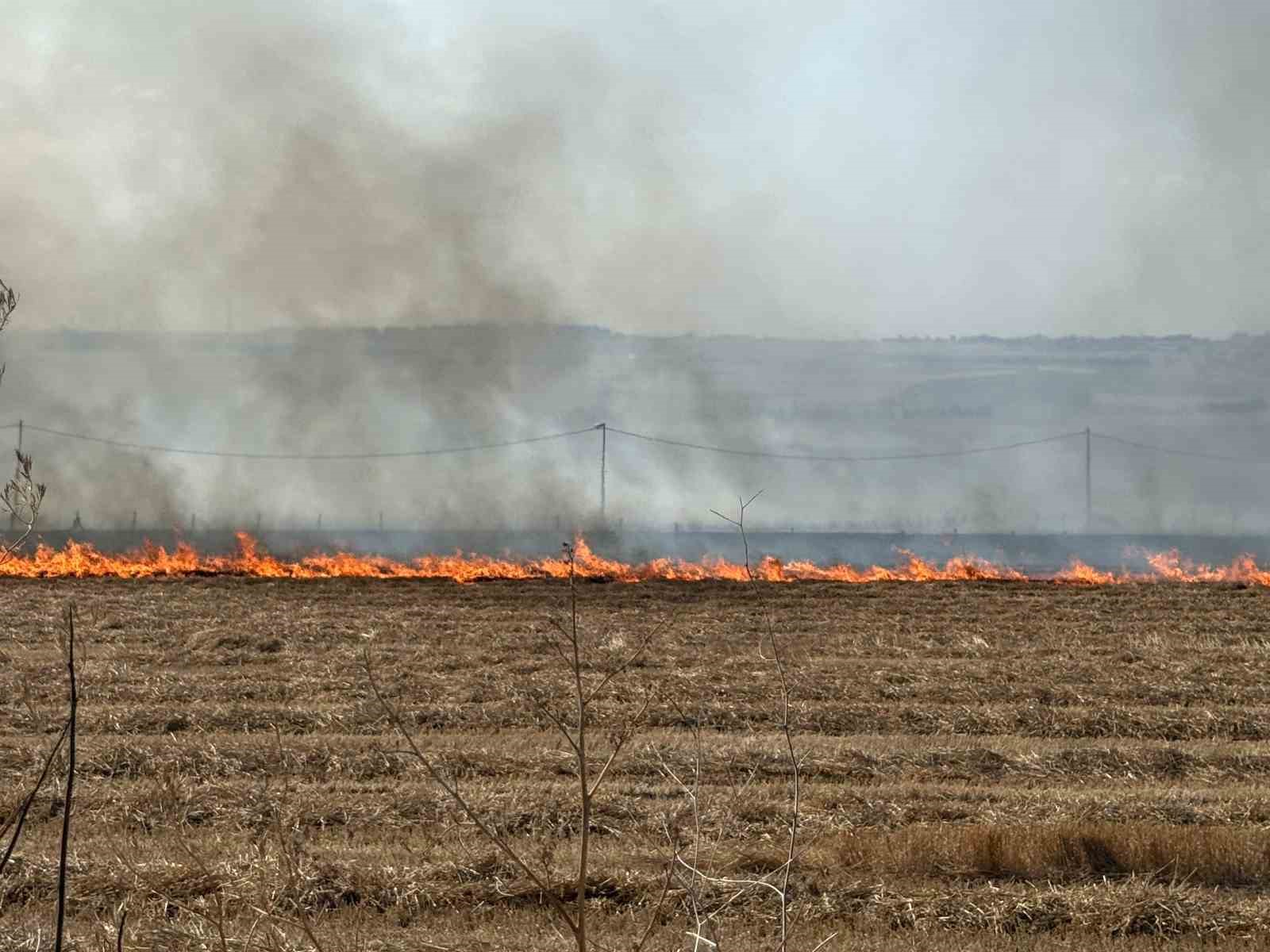 Silivri’de tarla yangınına havadan müdahale ediliyor