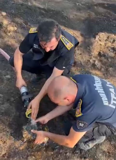 İtfaiye erleri alevlerin arasında kalan kaplumbağayı böyle kurtardı