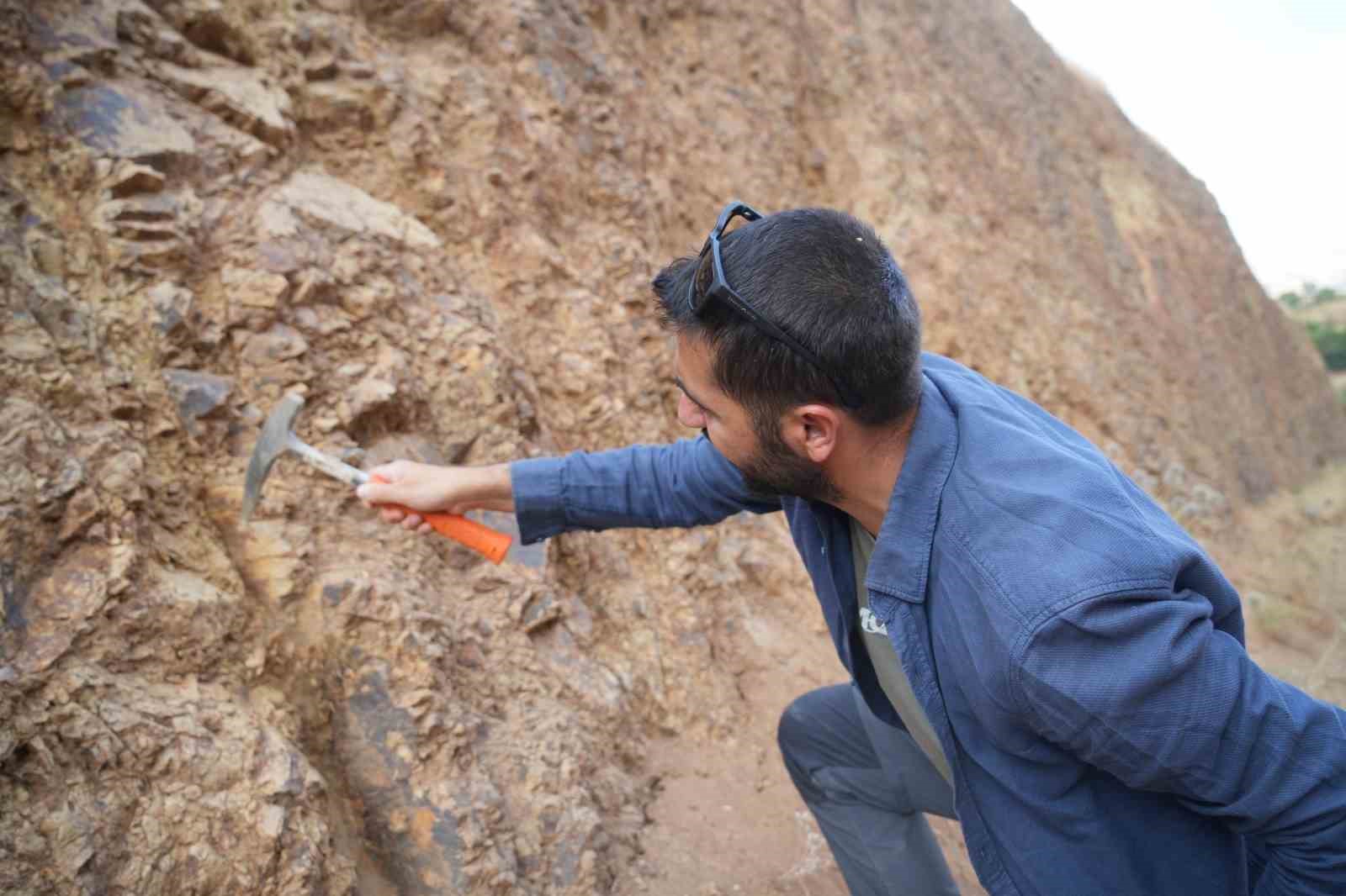 Muş’ta Kavakbaşı Fay Zonu mercek altında