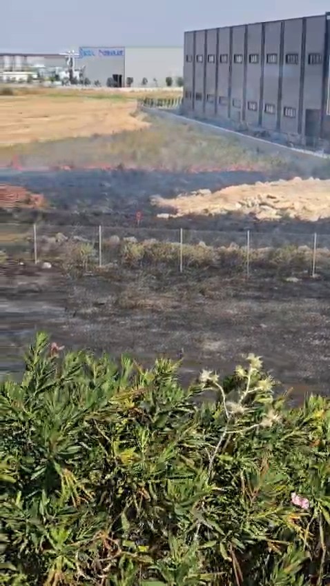 Otoban kenarında çıkan yangın söndürüldü