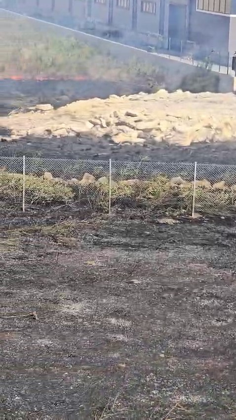 Otoban kenarında çıkan yangın söndürüldü