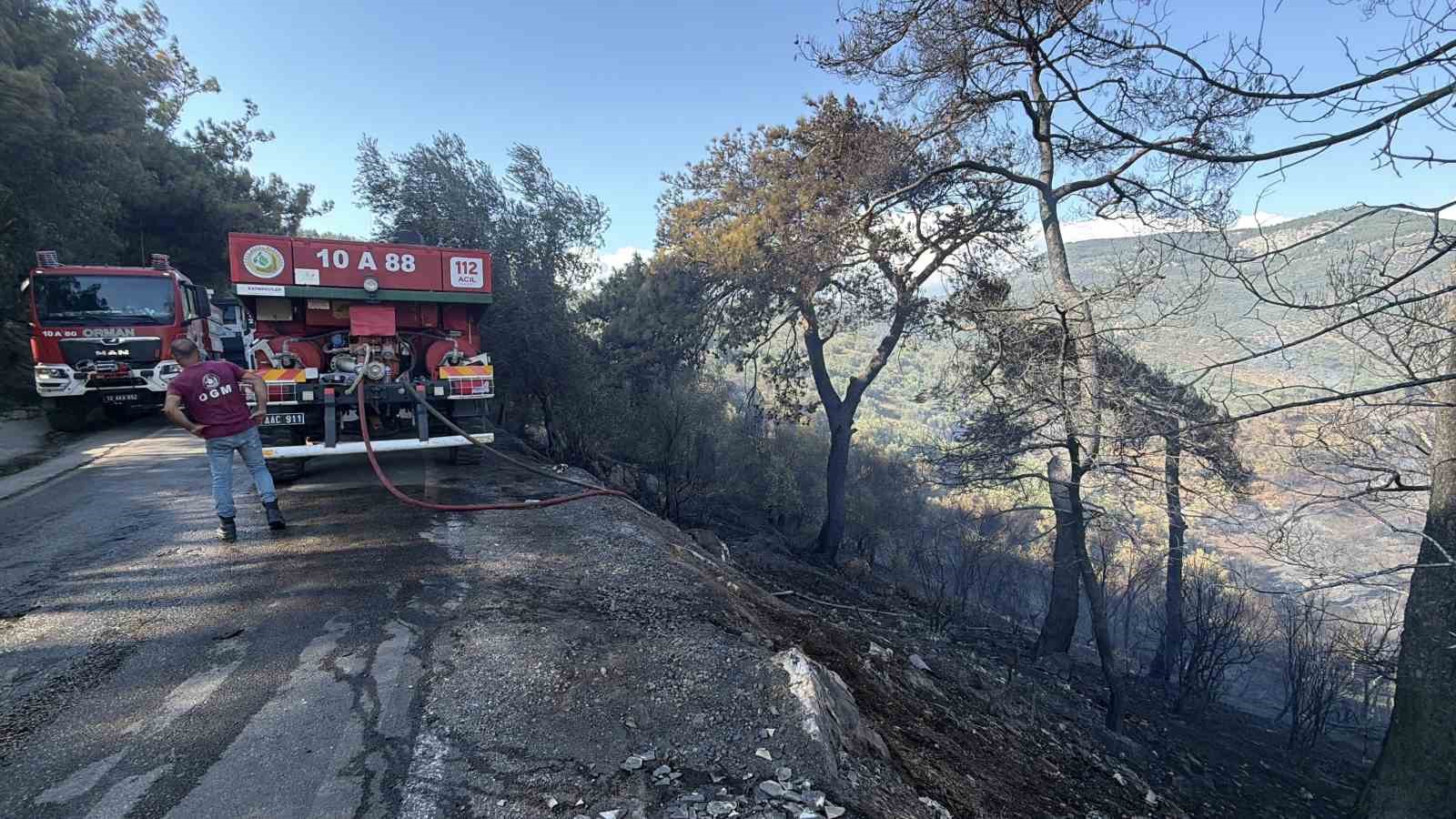 Edremit Kazdağları ve Dursunbey’deki yangınlar kontrol altına alındı