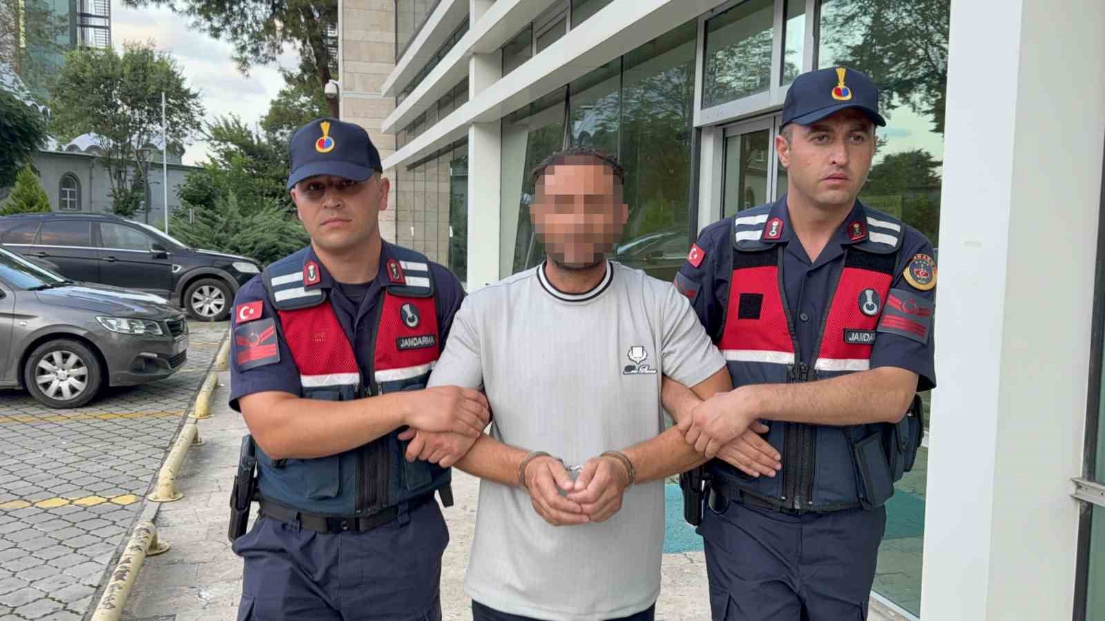 Kesilen ayva dalı tartışmasında amcasını öldüren gurbetçi: "Amcam silahla bana ateş açınca ben de kendimi korumak için ateş ettim"