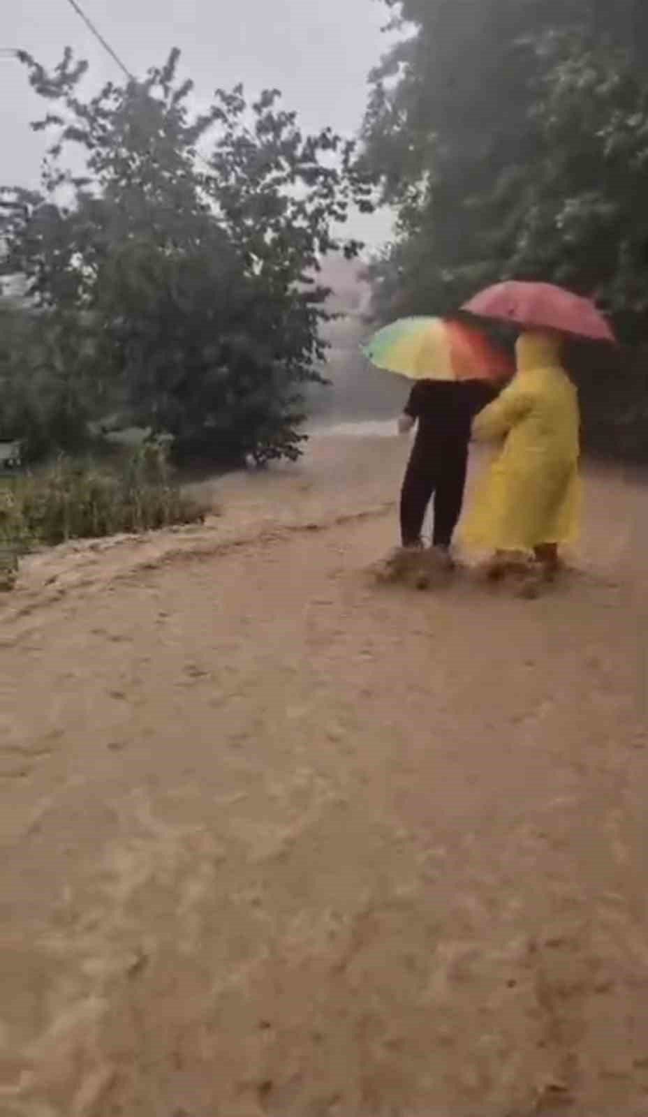 Giresun’da şiddetli yağış etkili oldu