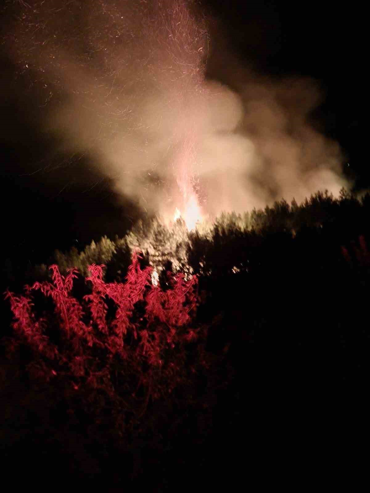 Alanya’da gece saatlerinde çıkan orman yangını kontrol altına alındı